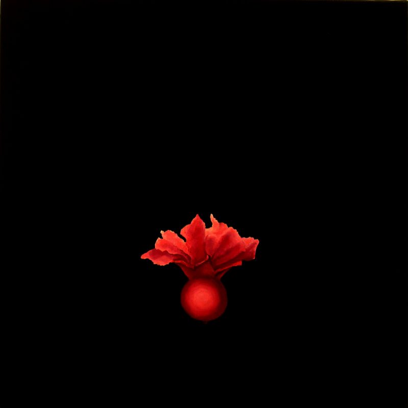Pomegranate Flower I (70x70cm) oil on canvas