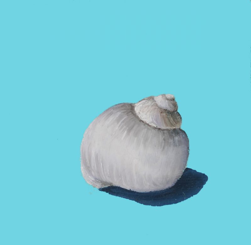Seashell III-(10×10 cm) oil on canvas