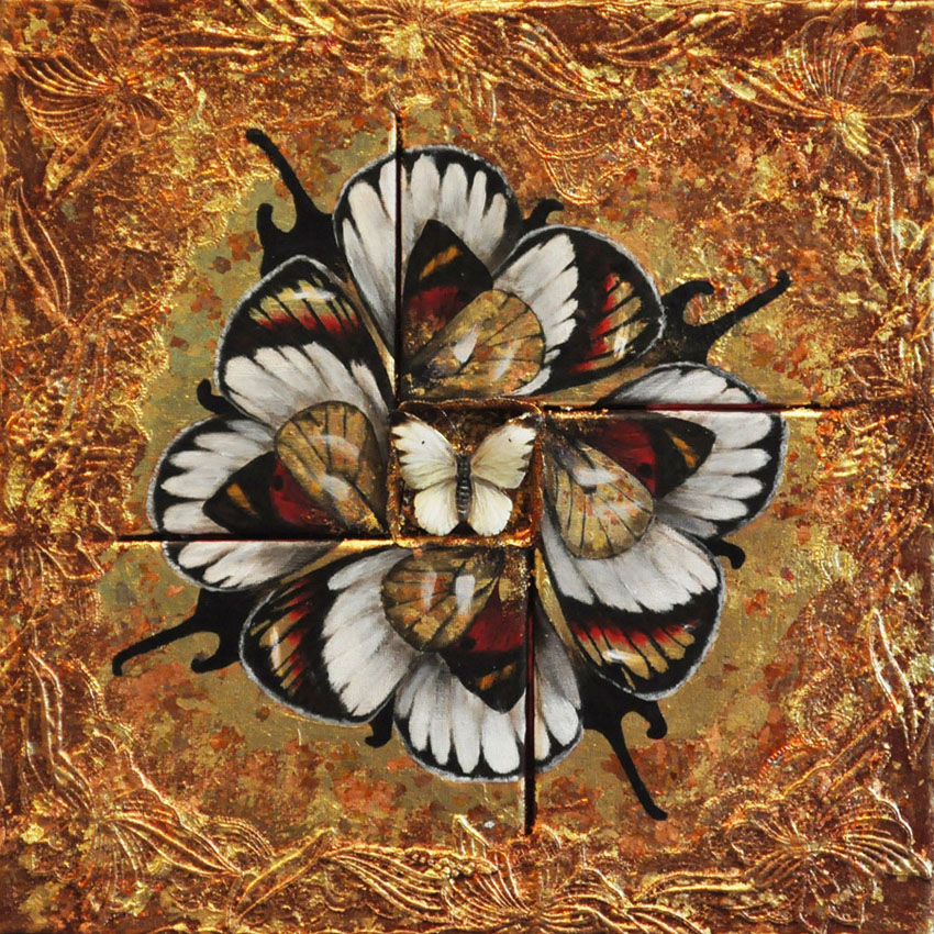 Βutterfly Flower (43x43cm) mixed media on canvas