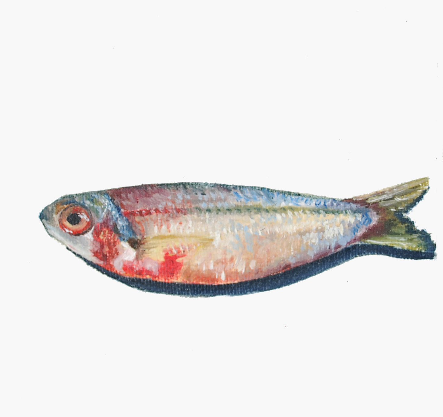 Fish X (10x10cm) oil on canvas