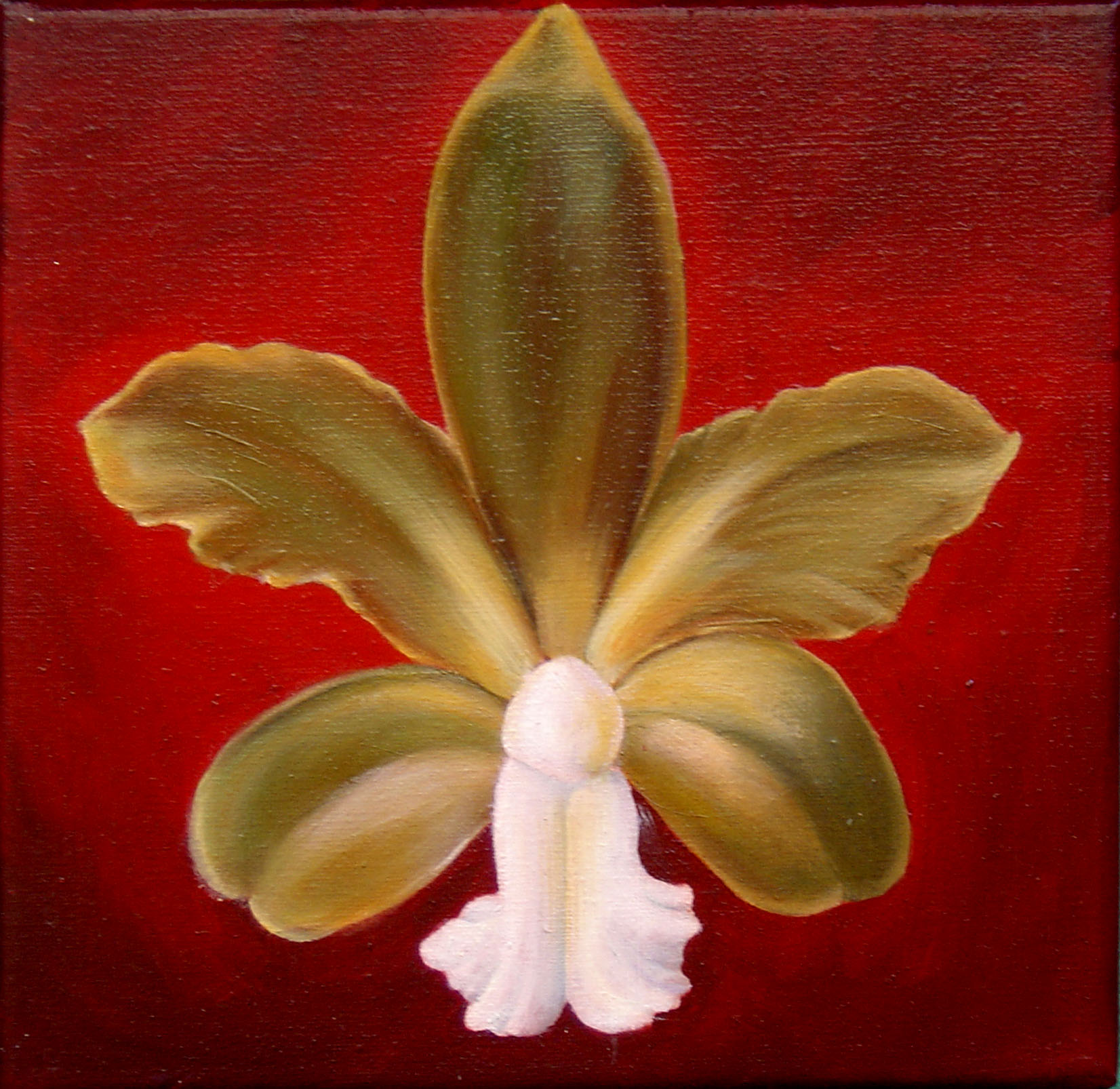 Intercourse-Orchid (20×20)cm oil on canvas